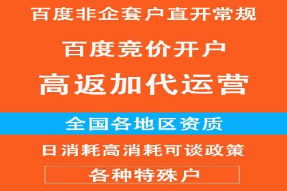 成功案例剖析：信息流开户返点的应用与效果